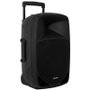 Fonestar Malibu-312 Altavoz Portátil 250W con 2 Micrófonos UHF